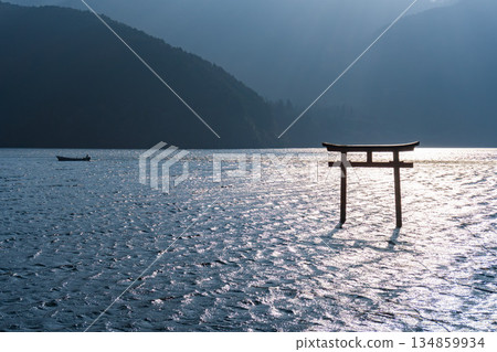 箱根九頭龍神社的鳥居 134859934