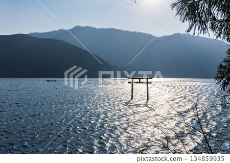 箱根九頭龍神社的鳥居 134859935