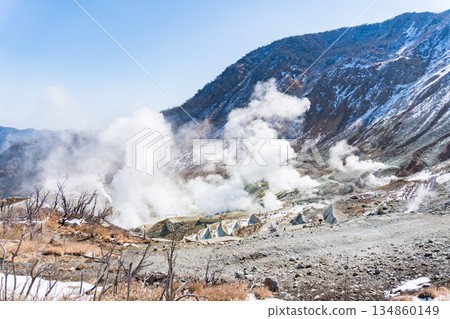 箱根大湧谷升起的煙霧 134860149
