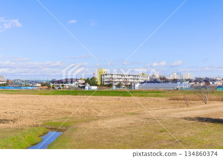 Around the Kokubu River Regulating Pond Green Space, Ichikawa City, Chiba Prefecture December 2025 Around the Kokubu River Regulating Pond Green Space, Ichikawa City, Chiba Prefecture December 2025 134860374