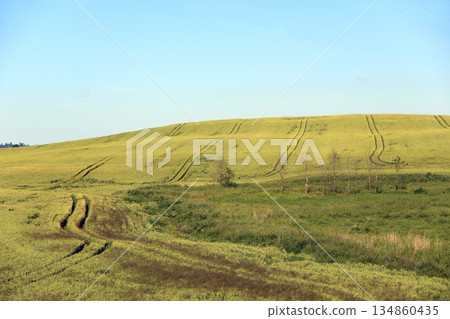 Summer landscape with field blue sky and road. Rural panorama. Summer landscape with field blue sky and road. Rural panorama. 134860435