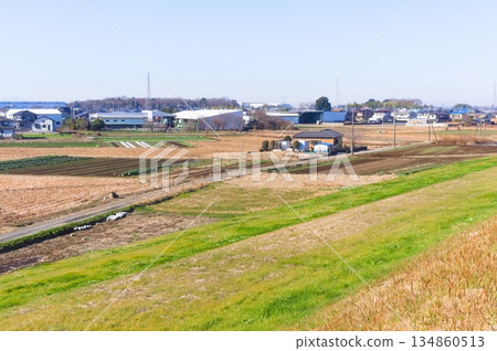 Scenery along the Edogawa Cycling Road in Sugito Town, Saitama Prefecture, December 2025 134860513