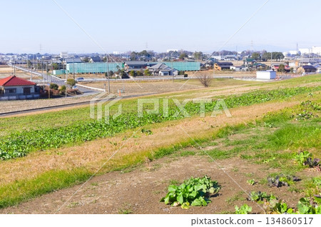Scenery along the Edogawa Cycling Road in Sugito Town, Saitama Prefecture, December 2025 Scenery along the Edogawa Cycling Road in Sugito Town, Saitama Prefecture, December 2025 134860517