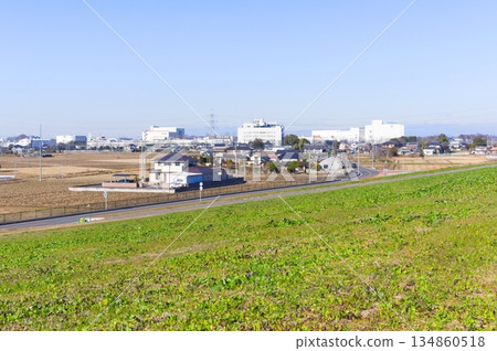 2025年12月，埼玉縣杉戶町江戶川自行車道沿途風景 134860518