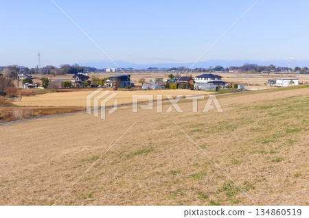 Scenery along the Edogawa Cycling Road in Sugito Town, Saitama Prefecture, December 2025 134860519