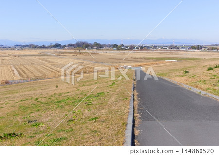 2025年12月，埼玉縣杉戶町江戶川自行車道沿途風景 134860520