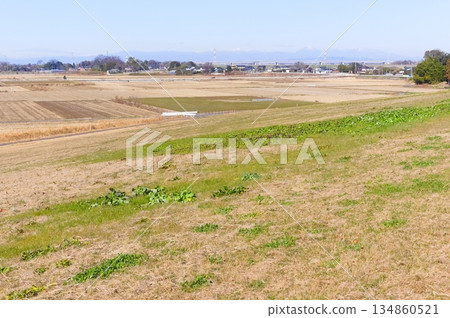 2025年12月,埼玉縣杉戶町江戶川自行車道沿途風景 2025年12月,埼玉縣杉戶町江戶川自行車道沿途風景 134860521