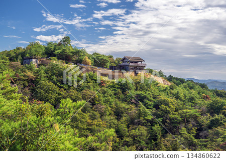 從遠處眺望岡山縣城之城 134860622