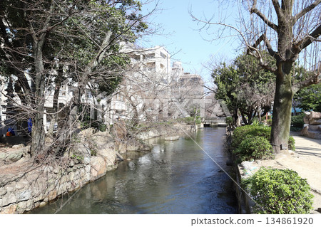 西川綠道公園（岡山縣岡山市） 134861920