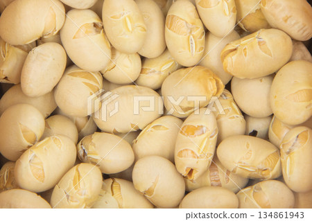 Bean Throwing Bean Texture Bean Throwing Bean Texture 134861943
