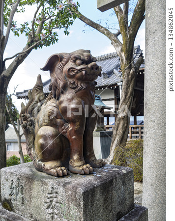 Majestic ceramic guardian dogs guarding the sacred grounds Majestic ceramic guardian dogs guarding the sacred grounds 134862045