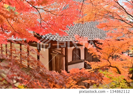 秋葉環繞著清水寺正殿。 秋葉環繞著清水寺正殿。 134862112