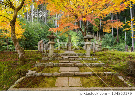 京都一乘寺瑞嚴山圓光寺(德川家康創建)拍攝於 2025 年秋季 京都一乘寺瑞嚴山圓光寺(德川家康創建)拍攝於 2025 年秋季 134863179