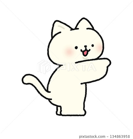 可愛的貓咪指著 可愛的貓咪指著 134863958