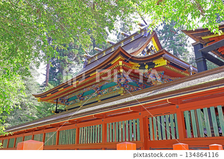 貫崎神社（富岡） 134864116