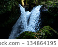 Mossy rocks and clear water flowing, the vibrant spray of the waterfall 134864195