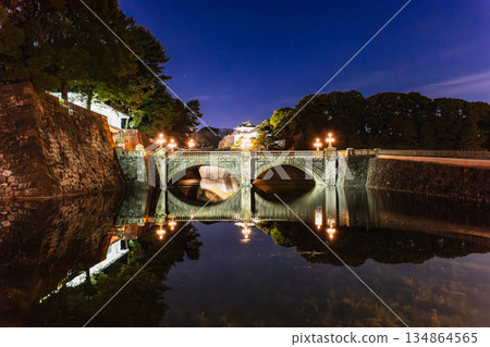 Imperial Palace Nijubashi Bridge / Main Gate Stone Bridge New Year's illuminations Imperial Palace Nijubashi Bridge / Main Gate Stone Bridge New Year's illuminations 134864565