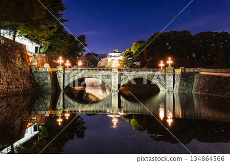 皇宮二重橋/正門石橋新年燈飾 皇宮二重橋/正門石橋新年燈飾 134864566