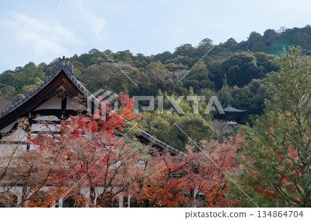 京都東山永觀堂的秋天 134864704