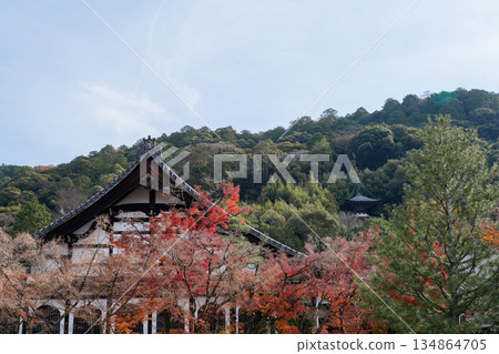 京都東山永觀堂的秋天 京都東山永觀堂的秋天 134864705
