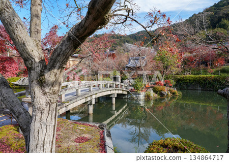 京都東山永觀堂的秋天 京都東山永觀堂的秋天 134864717