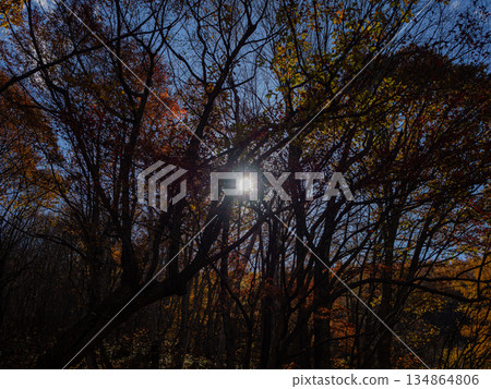 Autumn mountains with red leaves, autumn scenery, Nagano Prefecture Autumn mountains with red leaves, autumn scenery, Nagano Prefecture 134864806