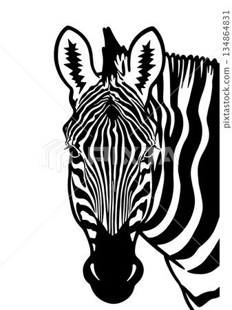 斑馬的臉 134864831