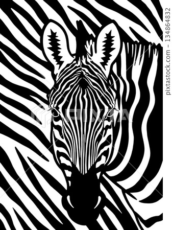 斑馬的臉 134864832