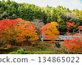 Train running in the autumn leaves 134865022