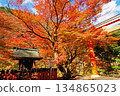 Sanmon wrapped in autumn leaves 134865023