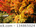 Train running through autumn leaves 2 134865024