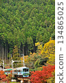 Train running through autumn leaves 3 134865025
