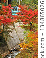 Train running through autumn leaves 4 134865026