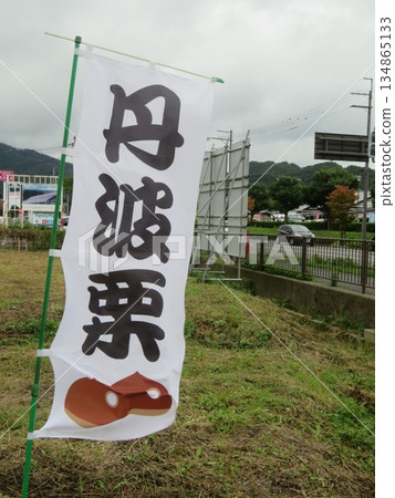 丹波板栗 134865133