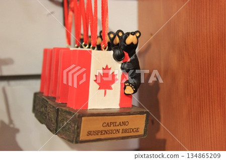 溫哥華是北美領先的多元文化城市，推薦旅遊景點包括史丹利公園和肉汁起司薯條。 134865209