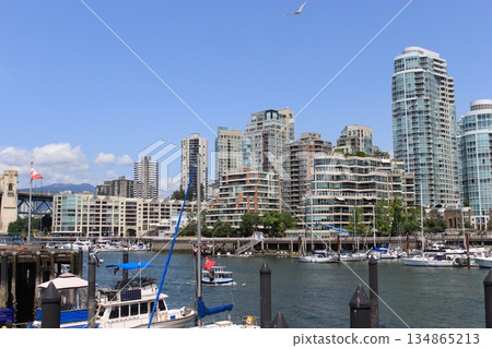 溫哥華是北美領先的多元文化城市，推薦旅遊景點包括史丹利公園和肉汁起司薯條。 134865213