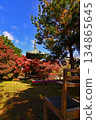 Tahoto Pagoda dyed in autumn leaves 134865645