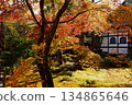 Azumaya wrapped in autumn leaves 134865646