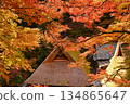 A thatched roof covered in autumn leaves 134865647