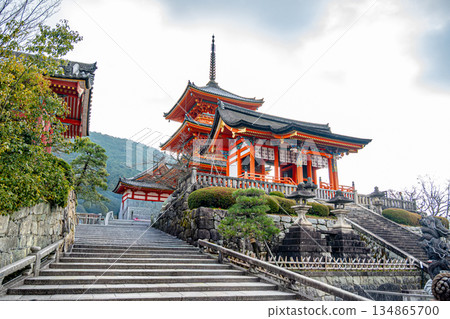 清水寺仁王門與三重塔 清水寺仁王門與三重塔 134865700