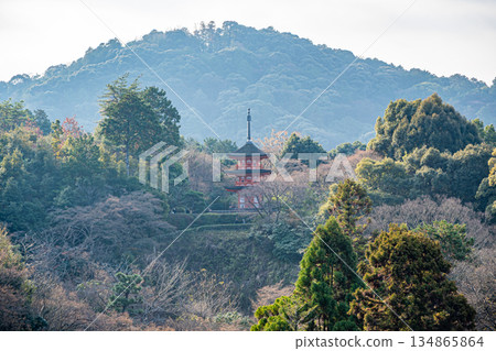 Kiyomizu Temple Kan'塔 Kiyomizu Temple Kan'塔 134865864