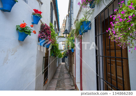 Narrow flower street Calleja de las Flores in Cordoba Spain. Narrow flower street Calleja de las Flores in Cordoba Spain. 134866280