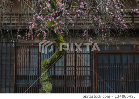 Spring on the Nakasendo road and Tsumago-juku Spring on the Nakasendo road and Tsumago-juku 134866453