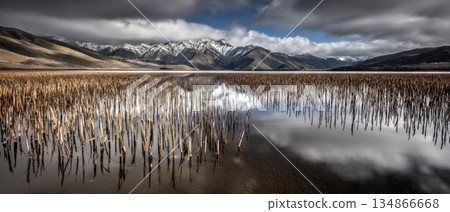 Tranquil Alien Valley with Glowing Reeds Swaying Under Dramatic Cloudy Sky Tranquil Alien Valley with Glowing Reeds Swaying Under Dramatic Cloudy Sky 134866668