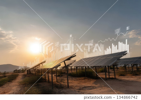Solar Farm Stretching into Distance Under Sunlit Glow with Graphs and Data Visualizations 134866742