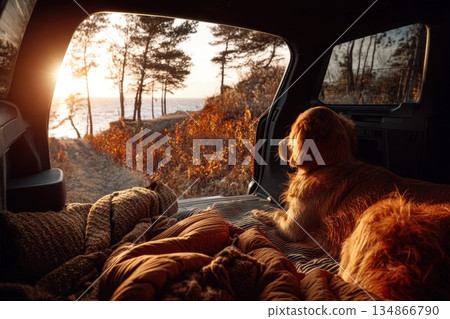 Dog Enjoying Scenic Nature View from Vehicle Trunk During Sunrise with Warm Light Dog Enjoying Scenic Nature View from Vehicle Trunk During Sunrise with Warm Light 134866790