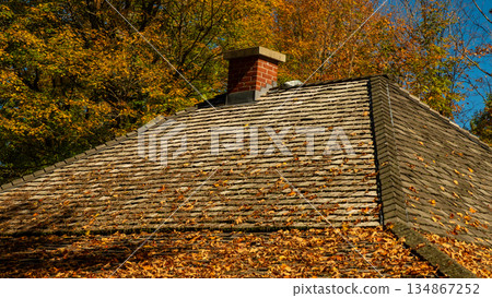 Clean leaves scattered on a rustic roof with a chimney, surrounded by vibrant autumn foliage and a clear blue sky, showcasing seasonal beauty 134867252
