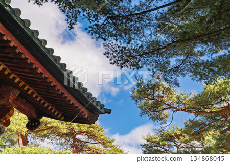 傳統寺廟和神社的屋簷以及松樹在藍天的映襯下格外醒目。 134868045