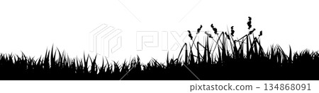 Meadow silhouette with grass, plants on plain. Panoramic summer lawn landscape with herbs, various weeds. Herbal border, frame element. Black horizontal banners. Vector illustration Meadow silhouette with grass, plants on plain. Panoramic summer lawn landscape with herbs, various weeds. Herbal border, frame element. Black horizontal banners. Vector illustration 134868091