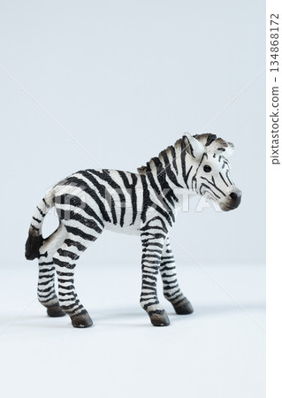 zebra zebra 134868172